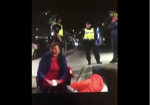 中国游客被瑞典警察扔坟场？当地网友揭真相 ( 图 )