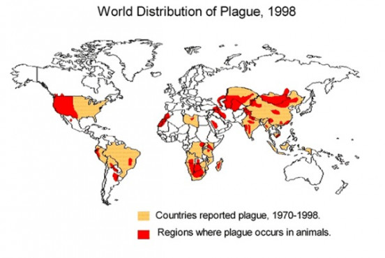 世界历史上十大影响最严重的瘟疫