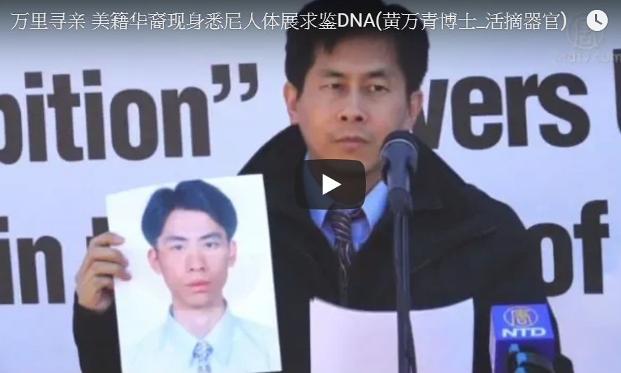 万里寻亲 美籍华裔现身悉尼人体展求鉴DNA