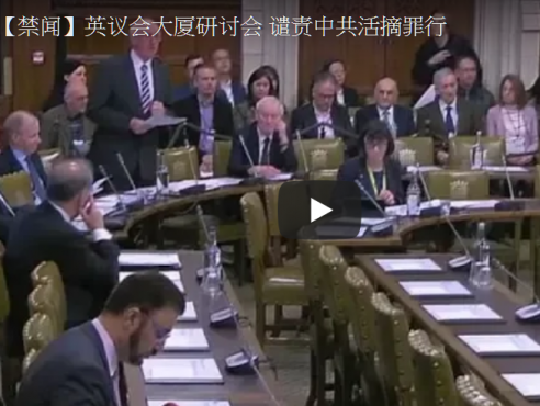 英议会大厦研讨会 谴责中共活摘罪行