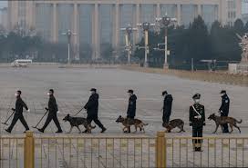 习近平很快下台？美前外交官爆一系列可疑迹象