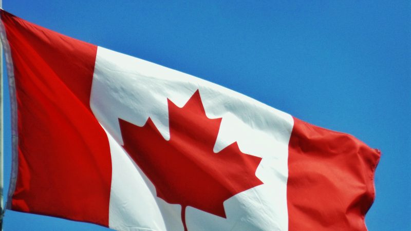 中国女子移民加拿大被拒 丈夫是公安副局长