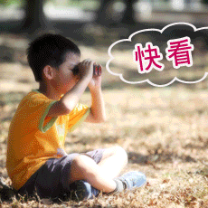  三退声明精选（2026/04/07）