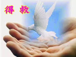 三退声明精选（2026/04/14）