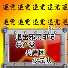 三退声明精选（2026/02/08）