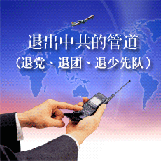 三退声明精选（2026/05/29）