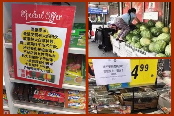 中国大妈组团偷白菜叶 澳洲超市贴出简体中文通告（图）
