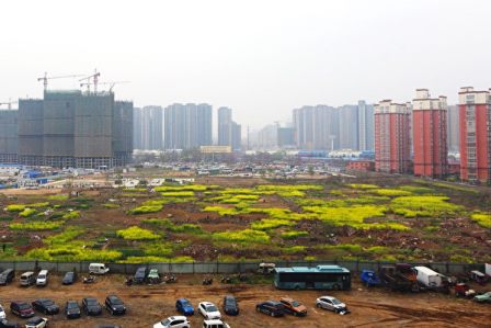 分析：中共为何推出“合村并镇”？（下）