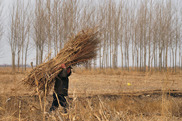 两会照妖镜——养老金涨20元背后的真相