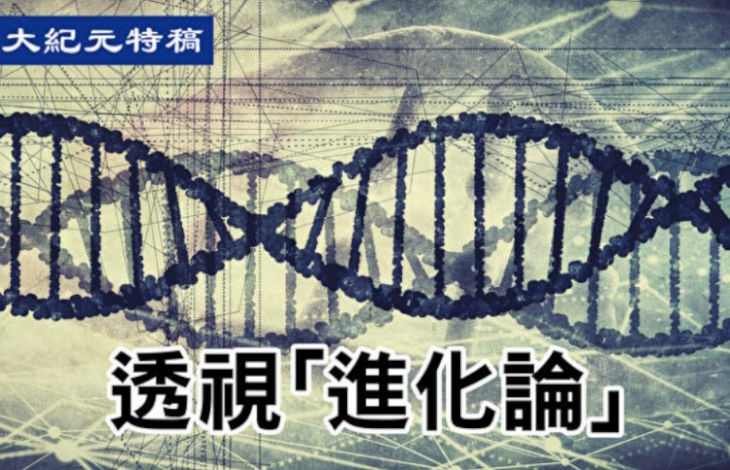 大纪元特稿:透视“进化论”(大纪元制图)