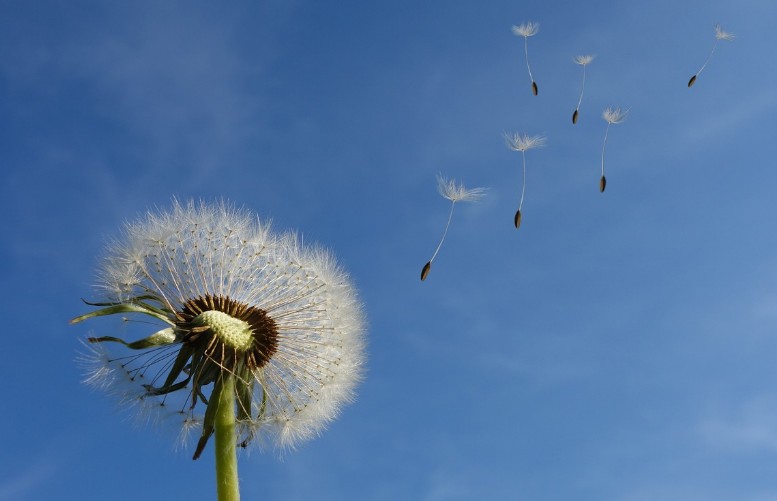 韧性：解锁真正的心理复原力