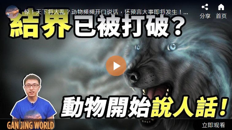 结界已被打破？动物开始说人话！【地球旅馆】