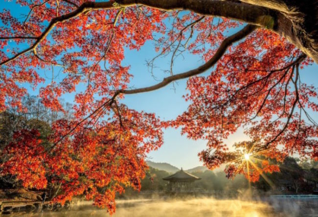 文史漫谈：返本真　惜仙缘