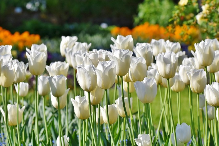 【九评征文】李九妹：刻骨铭心的痛