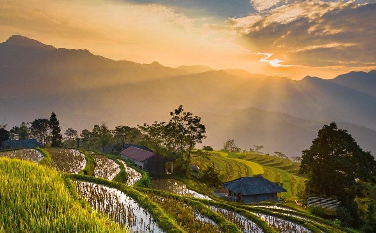 【九评征文】我家半数以上亲人遭中共迫害