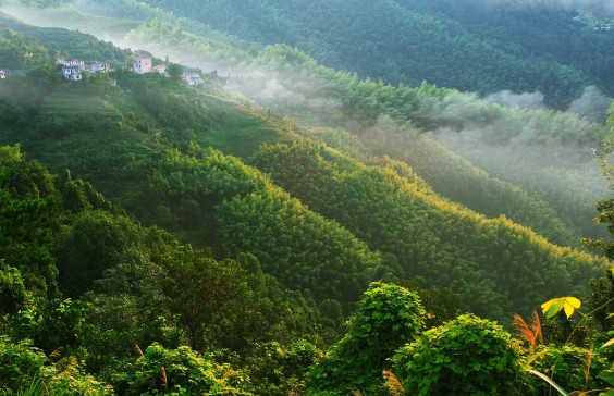 古代诗人的修炼故事