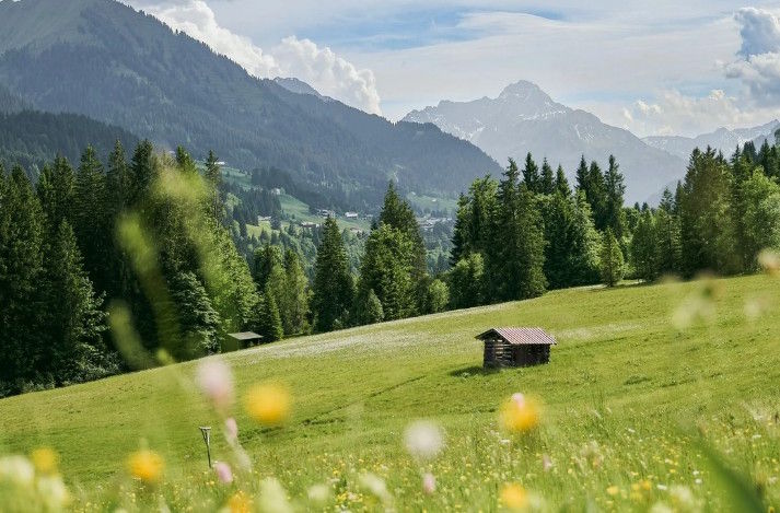 故乡见闻：“真疯”