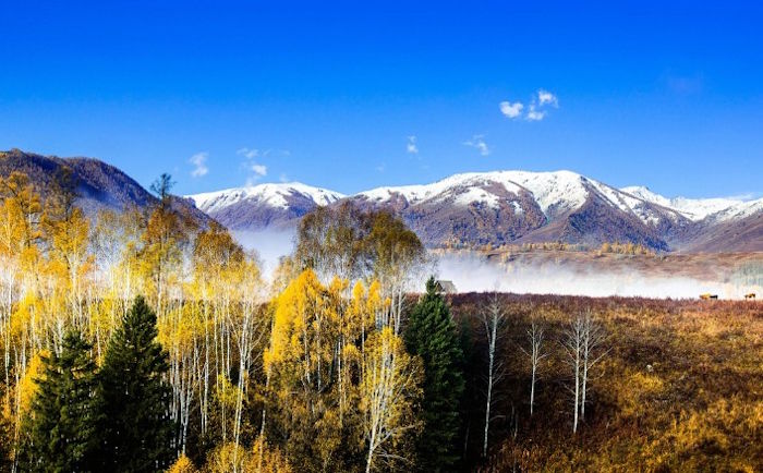 申公豹这个角色