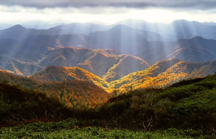 【九评征文】毛泽东和中共是怎样欺骗利用农民的（五）