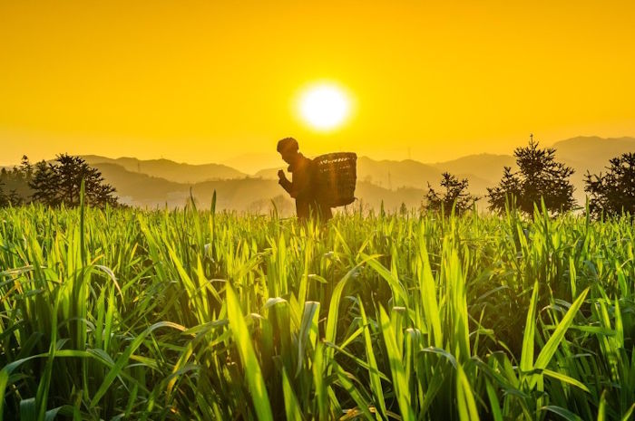 【九评征文】我的童年