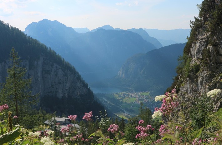 【九评征文】我家受迫害的经历