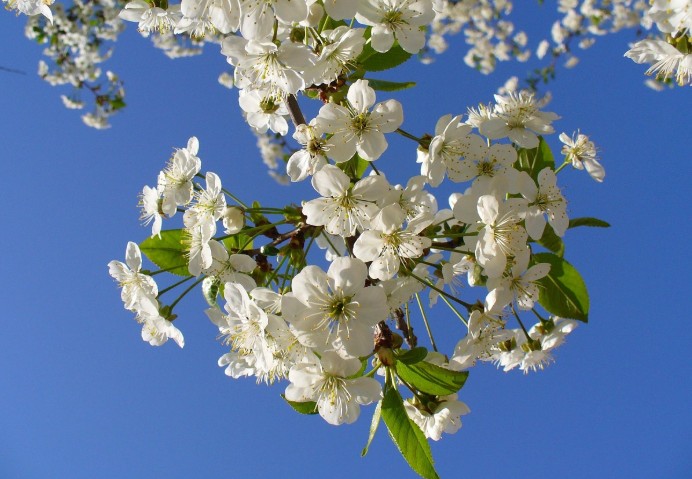 “修炼”源流考（1）