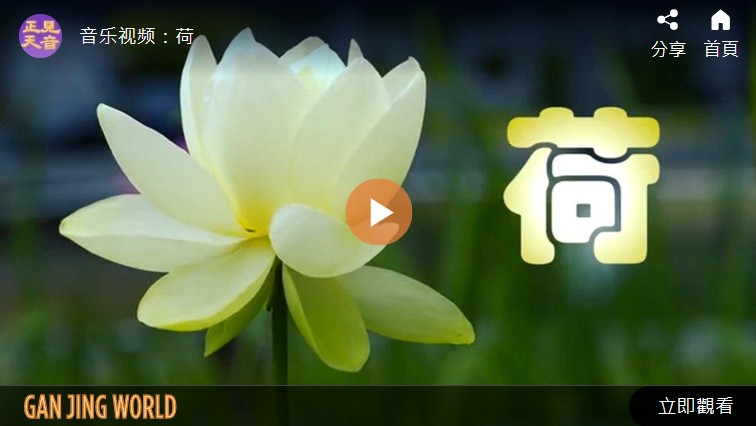 音乐视频：荷