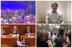 2019年中共两会前后 中国现四大“奇案” (组图)