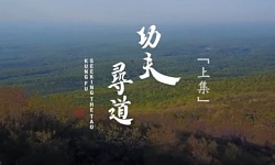 功夫 寻道-上（视频）