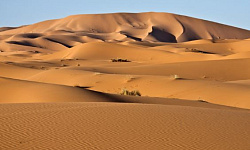 “曷劳落迦城”的毁灭（图）