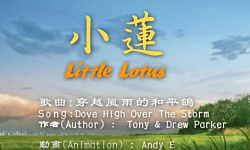 歌曲：穿越风雨的和平鸽（视频）