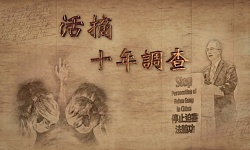 活摘十年调查（视频）