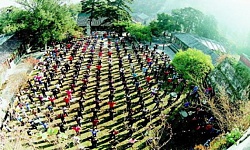 明慧二十周年报告（1）