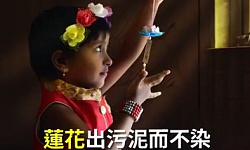 和平的花瓣 让世界更美丽（视频）