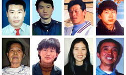 明慧20周年报告：迫害致死致残致精神失常